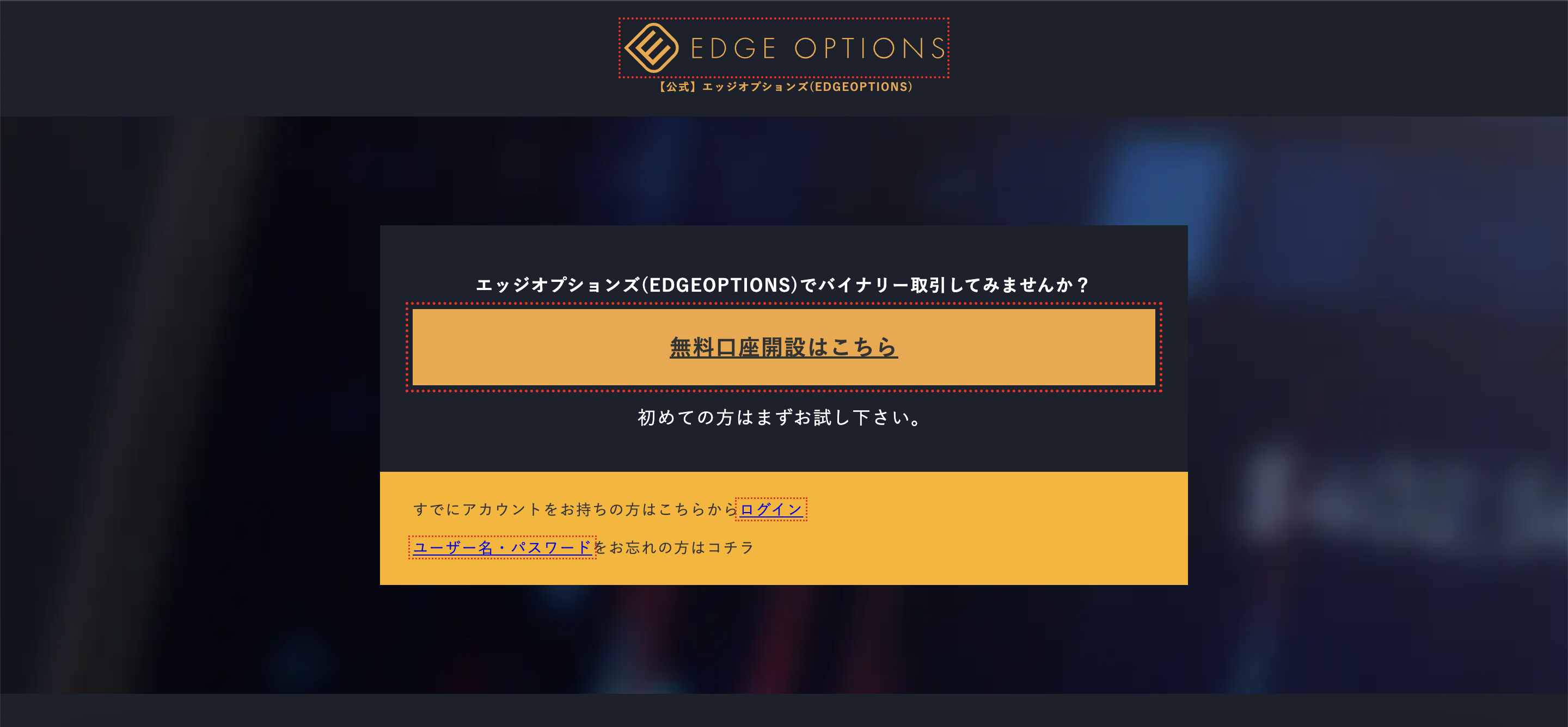 edgeoptions 公式サイト